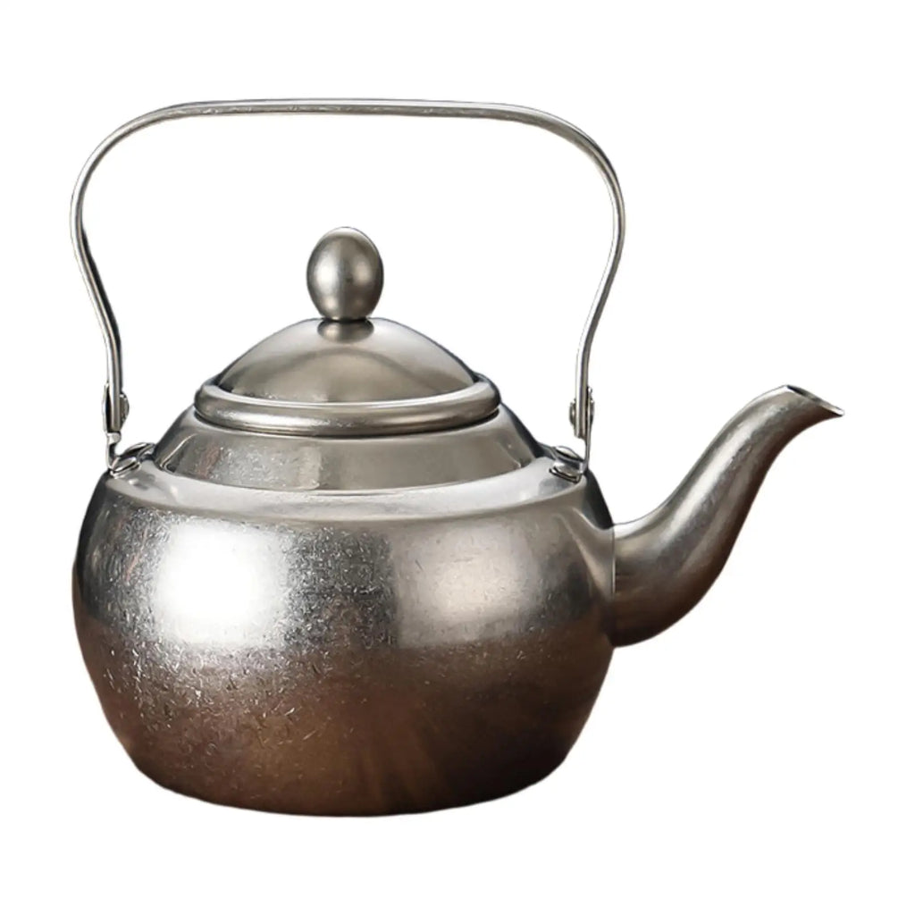 Thick stainless steel teapot with handle, portable, with removable infuser,